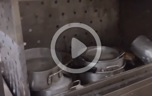 Video DLG-700